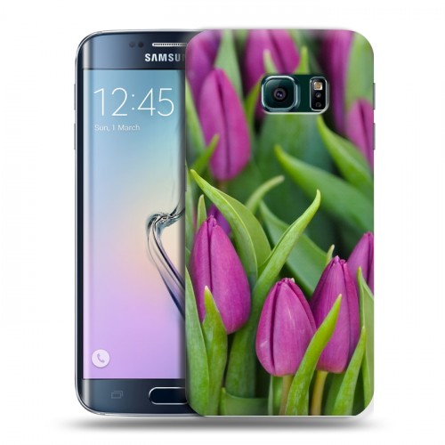 Дизайнерский пластиковый чехол для Samsung Galaxy S6 Edge Тюльпаны