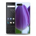 Дизайнерский пластиковый чехол для BlackBerry KEY2 Тюльпаны