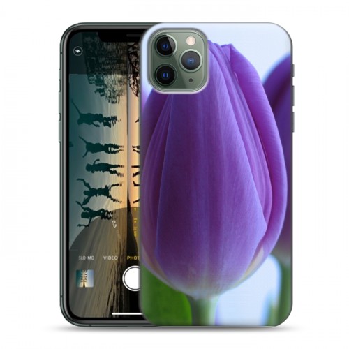 Дизайнерский пластиковый чехол для Iphone 11 Pro Max Тюльпаны