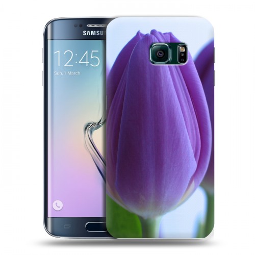 Дизайнерский пластиковый чехол для Samsung Galaxy S6 Edge Тюльпаны