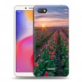 Дизайнерский пластиковый чехол для Xiaomi RedMi 6A Тюльпаны