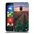 Дизайнерский пластиковый чехол для Nokia Lumia 620 Тюльпаны