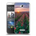 Дизайнерский пластиковый чехол для HTC Desire 616 Тюльпаны