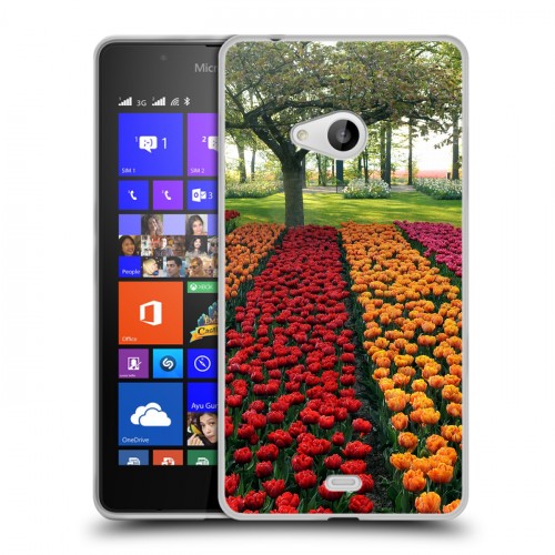 Дизайнерский пластиковый чехол для Microsoft Lumia 540 Тюльпаны