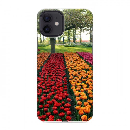 Дизайнерский силиконовый чехол для Iphone 12 Тюльпаны