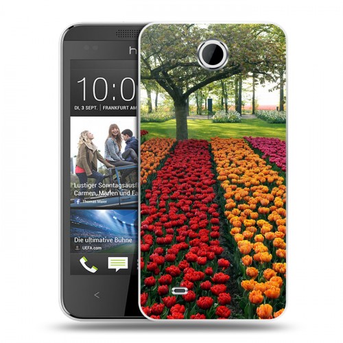 Дизайнерский пластиковый чехол для HTC Desire 300 Тюльпаны