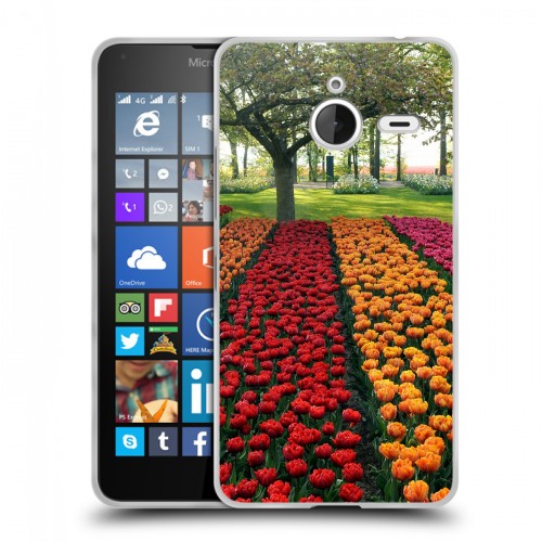 Дизайнерский пластиковый чехол для Microsoft Lumia 640 XL Тюльпаны