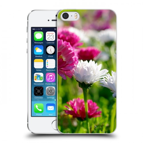 Дизайнерский пластиковый чехол для Iphone 5s Хризантемы