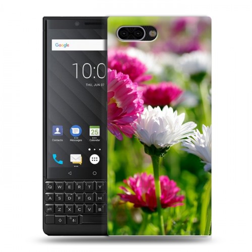 Дизайнерский пластиковый чехол для BlackBerry KEY2 Хризантемы