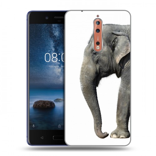 Дизайнерский пластиковый чехол для Nokia 8 Слоны