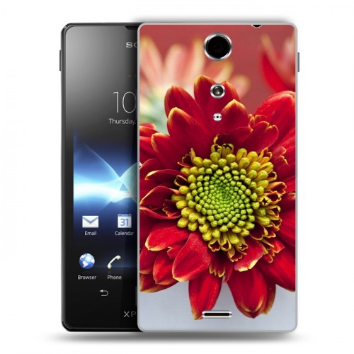 Дизайнерский пластиковый чехол для Sony Xperia TX Хризантемы