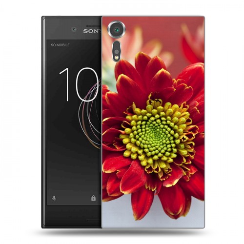 Дизайнерский пластиковый чехол для Sony Xperia XZs Хризантемы