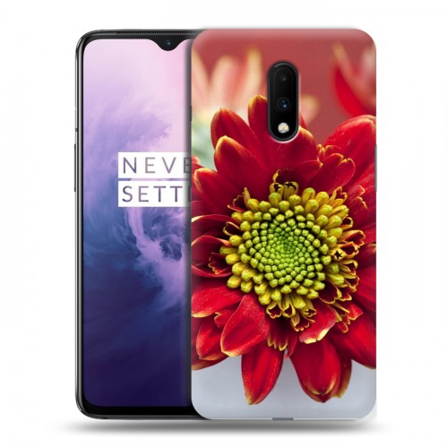 Дизайнерский пластиковый чехол для OnePlus 7 Хризантемы