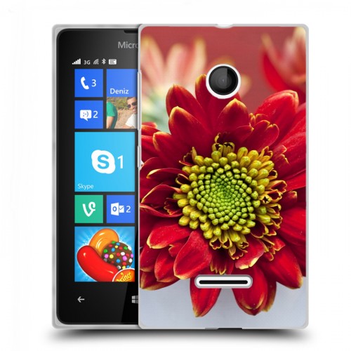 Дизайнерский пластиковый чехол для Microsoft Lumia 435 Хризантемы