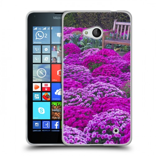 Дизайнерский пластиковый чехол для Microsoft Lumia 640 Хризантемы