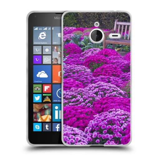 Дизайнерский пластиковый чехол для Microsoft Lumia 640 XL Хризантемы
