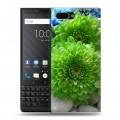 Дизайнерский пластиковый чехол для BlackBerry KEY2 Хризантемы