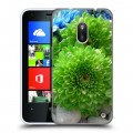 Дизайнерский пластиковый чехол для Nokia Lumia 620 Хризантемы