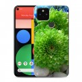 Дизайнерский пластиковый чехол для Google Pixel 5 Хризантемы