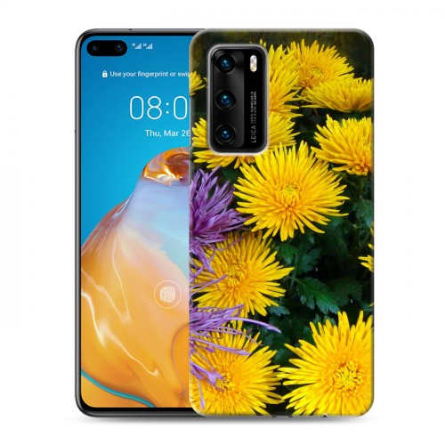 Дизайнерский пластиковый чехол для Huawei P40 Хризантемы