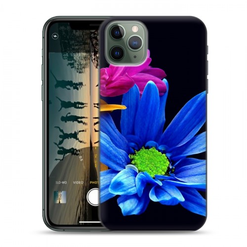 Дизайнерский пластиковый чехол для Iphone 11 Pro Max Хризантемы