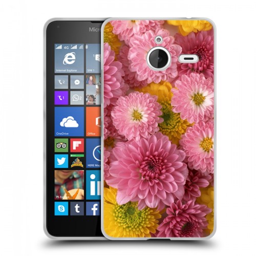 Дизайнерский пластиковый чехол для Microsoft Lumia 640 XL Хризантемы