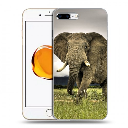 Дизайнерский силиконовый чехол для Iphone 7 Plus / 8 Plus Слоны