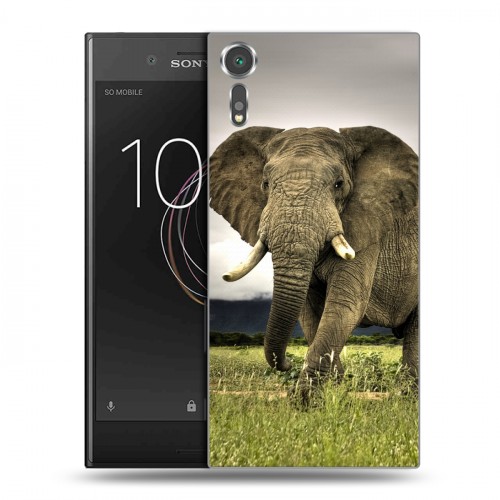 Дизайнерский пластиковый чехол для Sony Xperia XZs Слоны