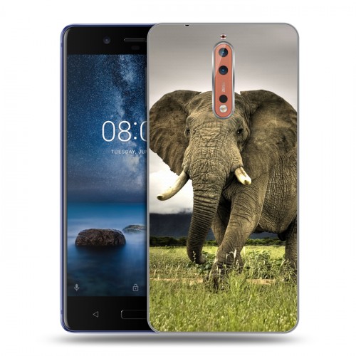 Дизайнерский пластиковый чехол для Nokia 8 Слоны