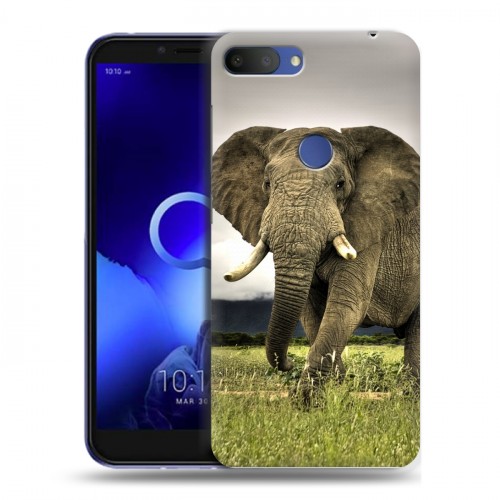 Дизайнерский пластиковый чехол для Alcatel 1S (2019) Слоны