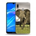 Дизайнерский пластиковый чехол для Huawei Y6 (2019) Слоны