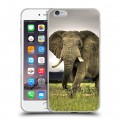 Дизайнерский силиконовый чехол для Iphone 6 Plus/6s Plus Слоны