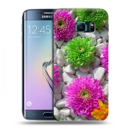 Дизайнерский пластиковый чехол для Samsung Galaxy S6 Edge Хризантемы
