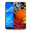 Дизайнерский пластиковый чехол для Huawei Y6 (2019) Хризантемы