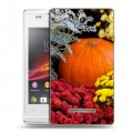 Дизайнерский пластиковый чехол для Sony Xperia E Хризантемы