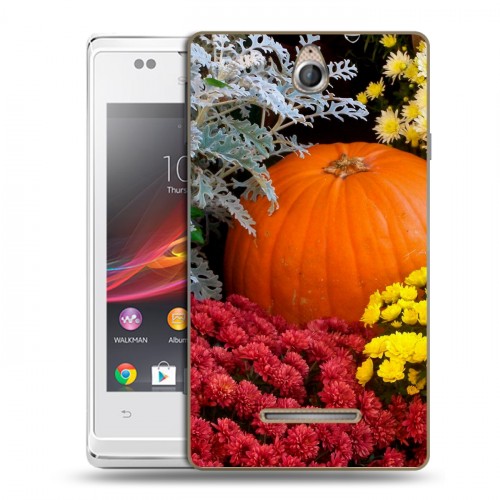 Дизайнерский пластиковый чехол для Sony Xperia E Хризантемы