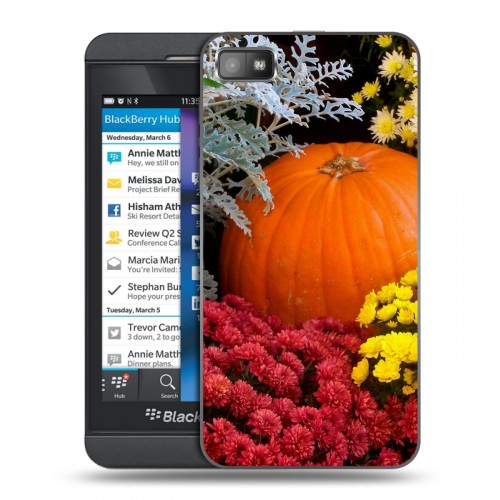 Дизайнерский пластиковый чехол для BlackBerry Z10 Хризантемы