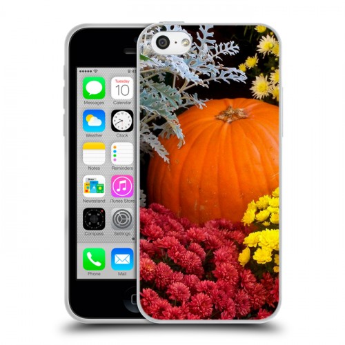 Дизайнерский пластиковый чехол для Iphone 5c Хризантемы