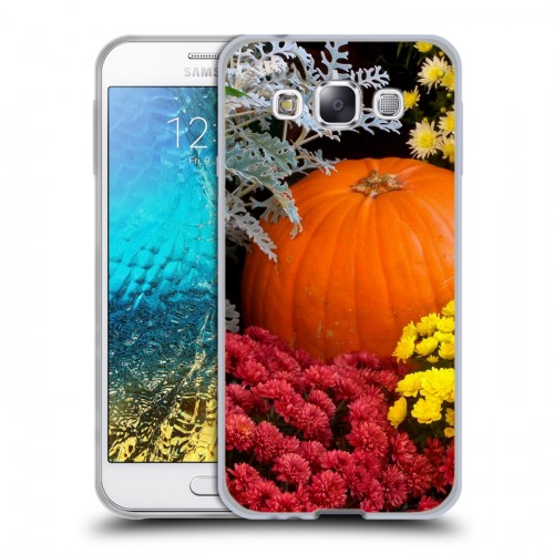 Дизайнерский пластиковый чехол для Samsung Galaxy E5 Хризантемы