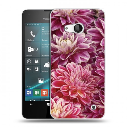 Дизайнерский пластиковый чехол для Microsoft Lumia 550 Хризантемы