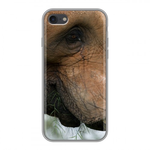 Дизайнерский силиконовый чехол для Iphone 7 Слоны