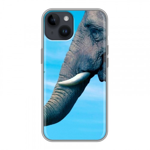 Дизайнерский пластиковый чехол для Iphone 14 Слоны