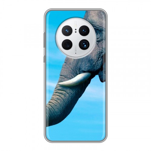 Дизайнерский пластиковый чехол для Huawei Mate 50 Pro Слоны