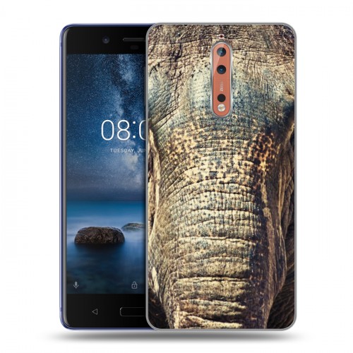 Дизайнерский пластиковый чехол для Nokia 8 Слоны