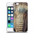 Дизайнерский пластиковый чехол для Iphone 5s Слоны