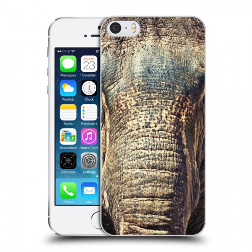 Дизайнерский пластиковый чехол для Iphone 5s Слоны