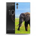 Дизайнерский пластиковый чехол для Sony Xperia XZs Слоны