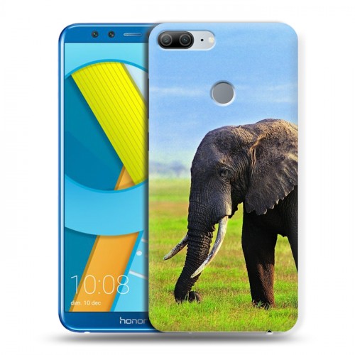 Дизайнерский пластиковый чехол для Huawei Honor 9 Lite Слоны