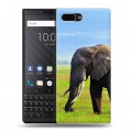 Дизайнерский пластиковый чехол для BlackBerry KEY2 Слоны