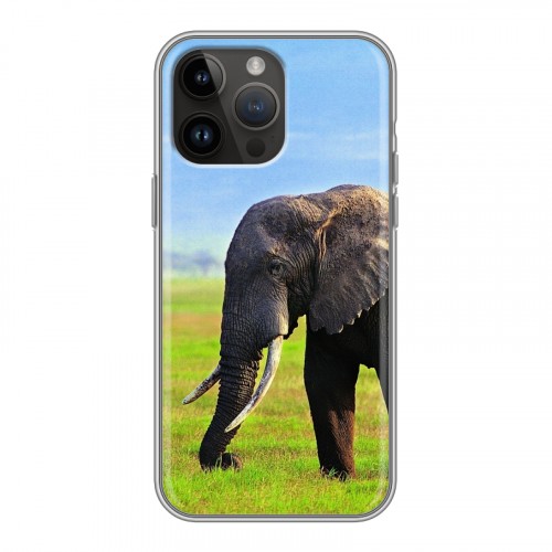 Дизайнерский силиконовый чехол для Iphone 14 Pro Max Слоны